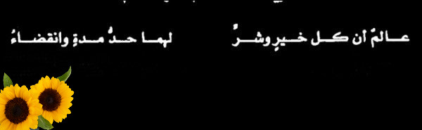 اقتباس 6 من كتاب أسعد امرأة في العالم