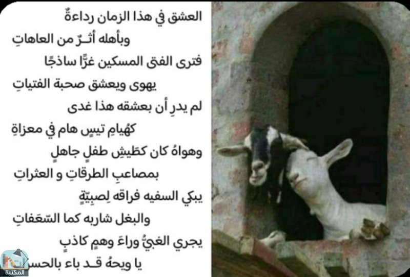 اقتباس 9 من كتاب خربشات الفصيح