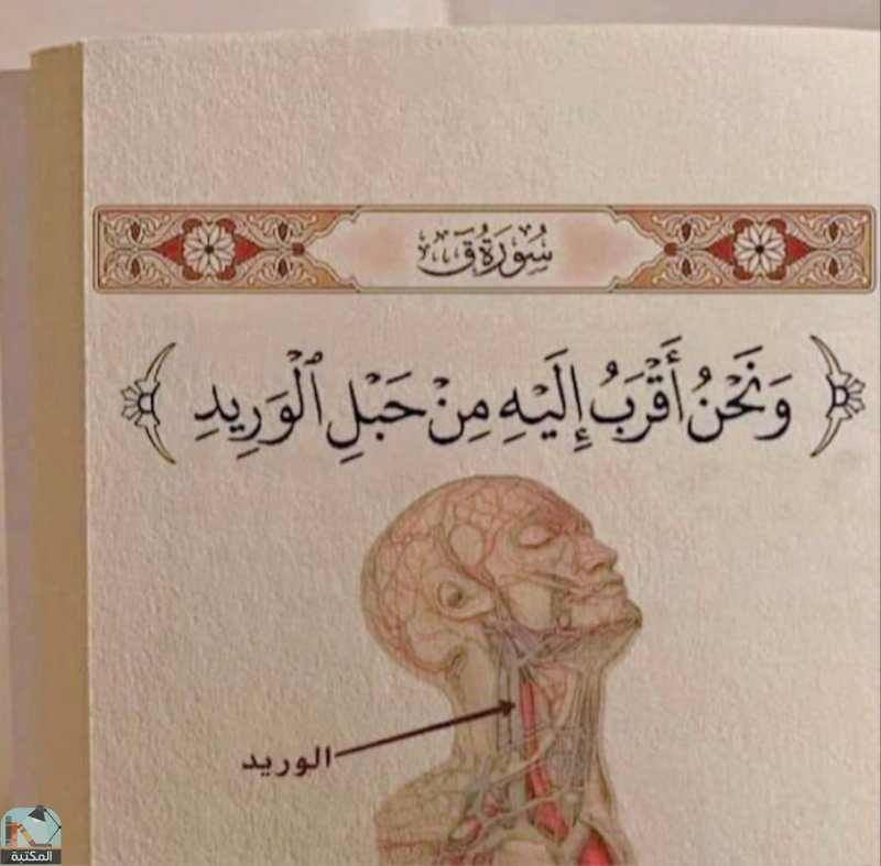 اقتباس 347 من  القرآن الكريم