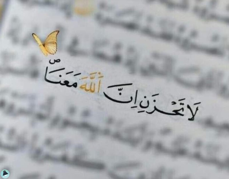اقتباس 486 من  القرآن الكريم