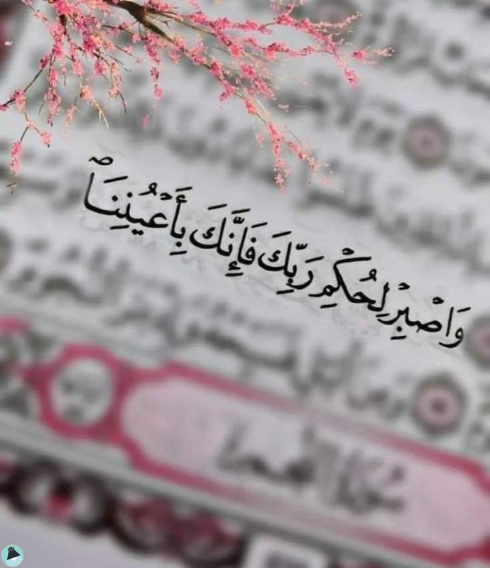 اقتباس 547 من  القرآن الكريم