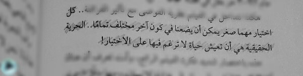 اقتباس 23 من كتاب شربة الحاج داود