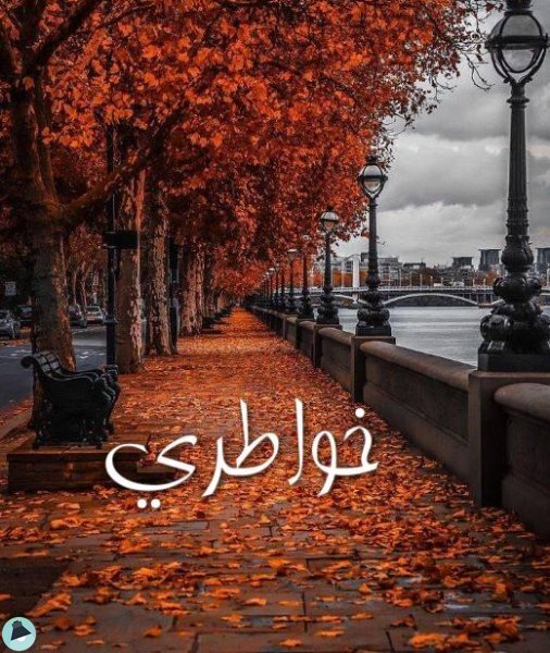 قراءة و تحميل كتابكتاب خواطري PDF