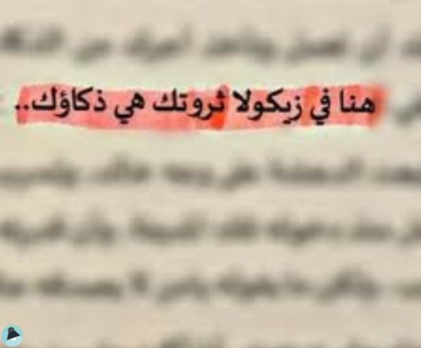 اقتباس 149 من رواية ارض زيكولا 