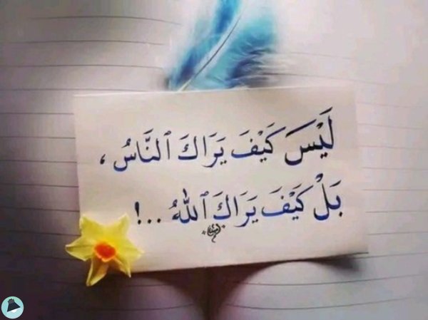 اقتباس 26 من مذكّرة كلمات 