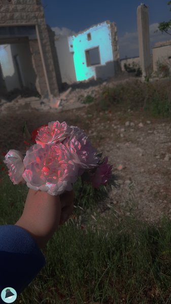 اقتباس 1 من  يومياتي
