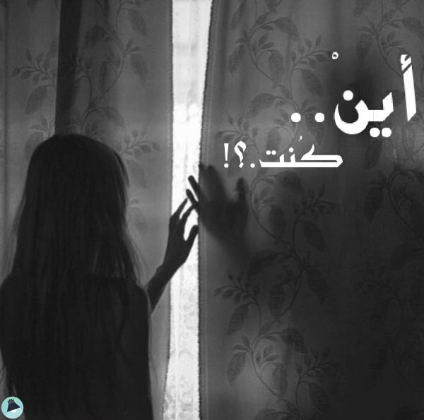 قراءة و تحميل كتابأين كنت؟! PDF