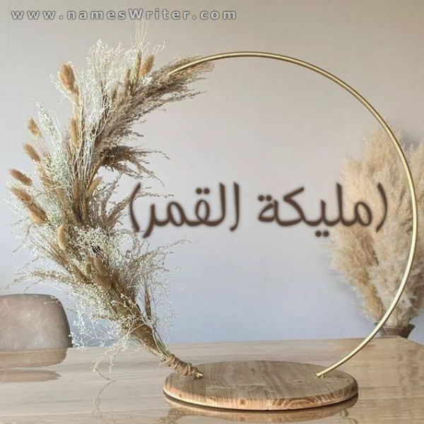 امانى سعد الدين (مليكة القمر)