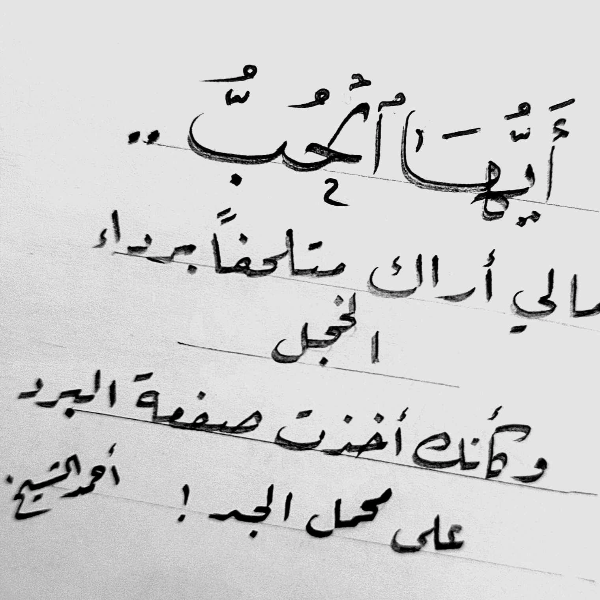 أحمد إبراهيم الشيخ