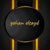 gehan.elsayd