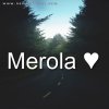 Merola Ehap