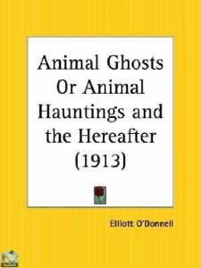 Animal Ghosts Or Animal Hauntings and the Hereafter 