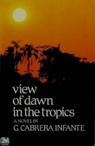 View of Dawn in the Tropics, a Novel 